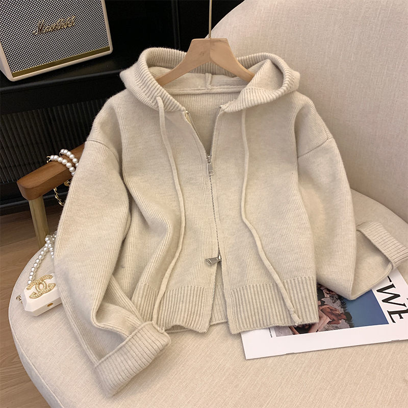 Long-sleeved hooded outer loose knitted sweater women's zipper sweater autumn and winter new thickened western-style bottoming shirt top