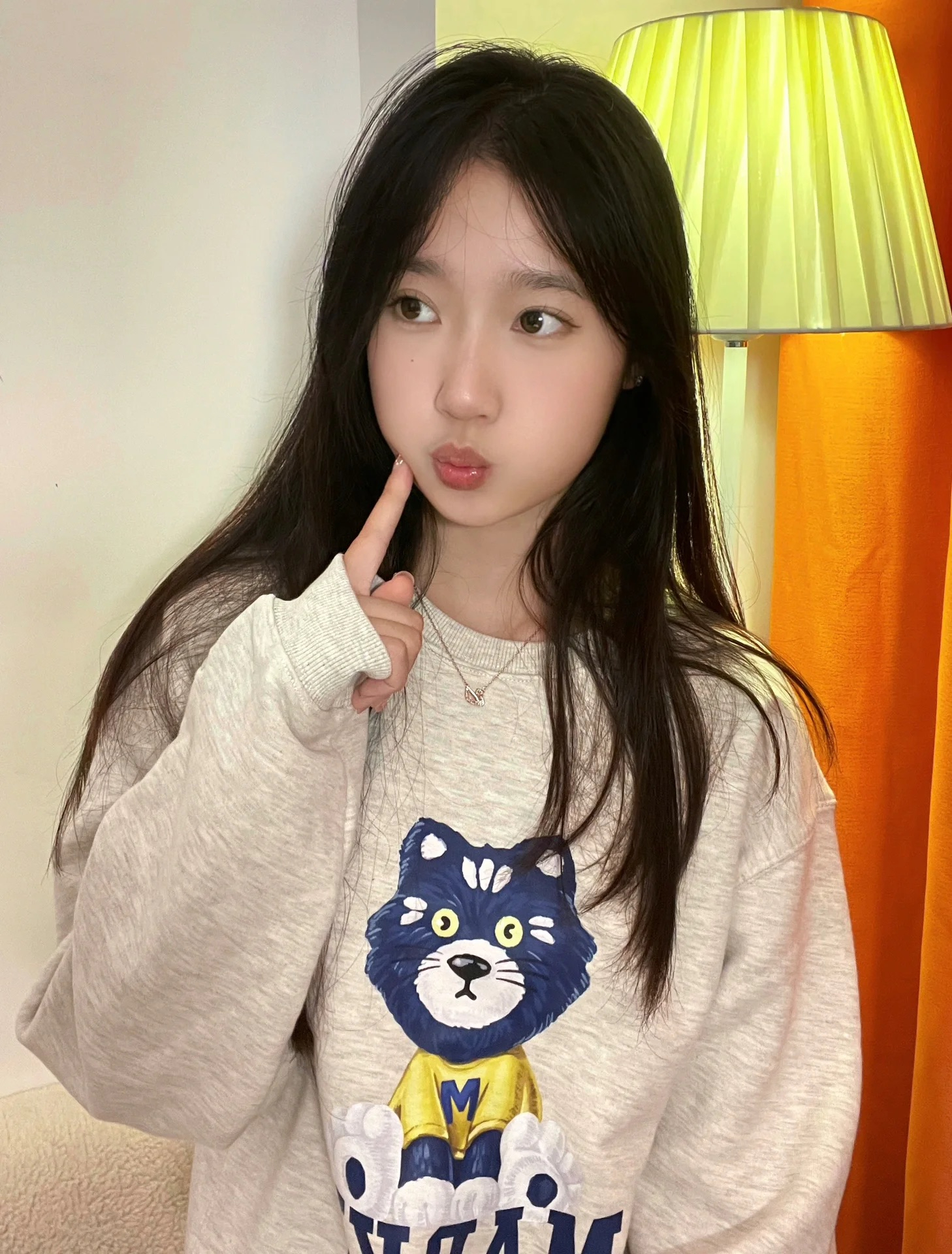 Anti-cotton Chinese cotton composite milk silk 300g/silver fox velvet 400g round neck sweatshirt for women