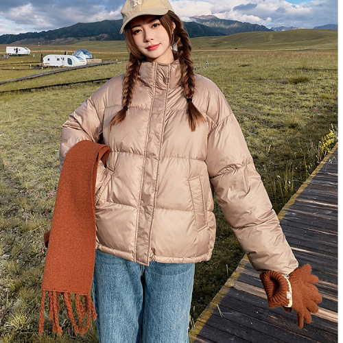  Winter New Short Down Down Jacket Women's Thickened Korean Style Loose Versatile Simple Stand Collar Small Coat