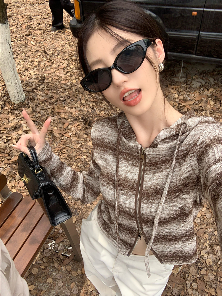 原版優質面料 復古辣妹撞色條紋連帽針織衫女修身短款拉鏈上衣