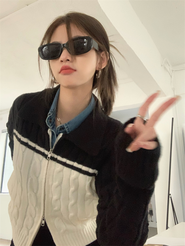實拍 秋裝毛衣外套女開衫慵懶高級感拉鏈長袖針織衫