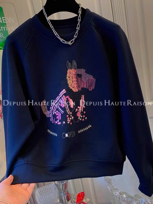 設計感小眾刺繡衛衣女2023新款春秋季薄款寬鬆慵懶風小個子上衣服