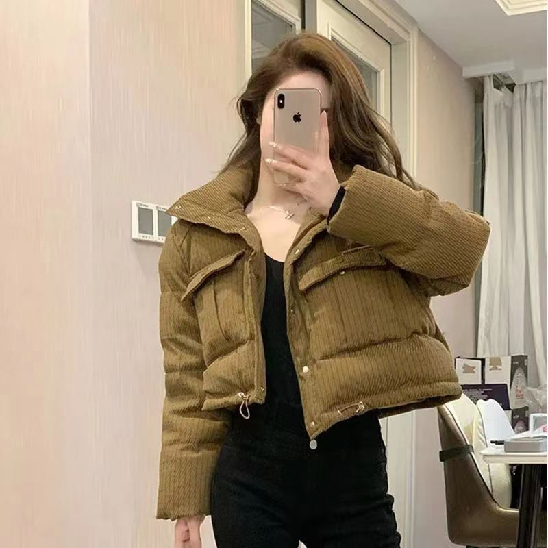 Internet picture fashionable stand-up collar short cotton coat for women in autumn new thickened retro Hong Kong style foreign style small man's bread suit