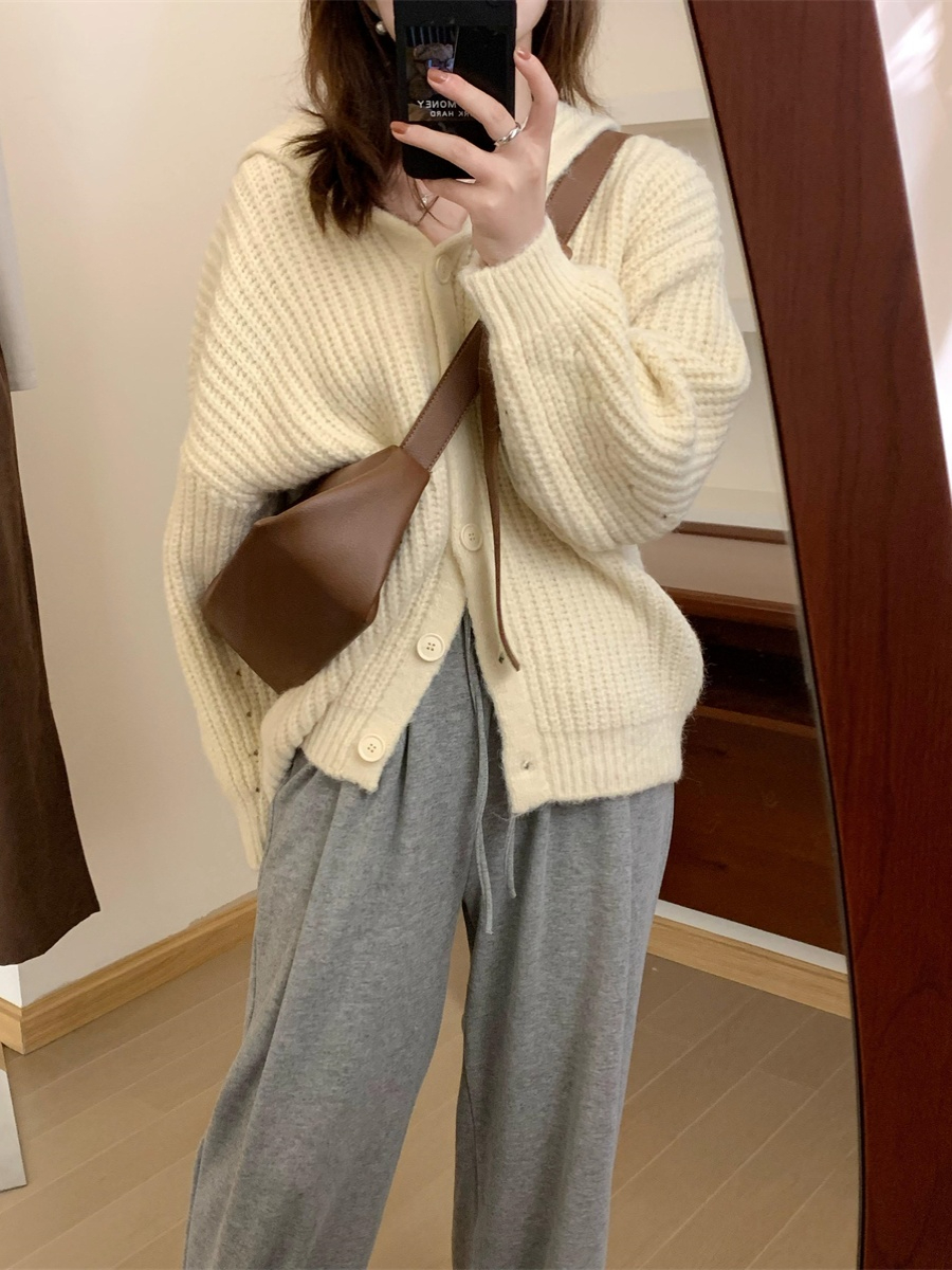 Thick needle hooded sweater jacket for women 2023 autumn new loose and warm Korean style bat sleeve sweater