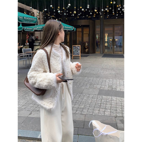Korean style Xiaoxiang style fashionable high-end design versatile rabbit fleece quilted loose short jacket