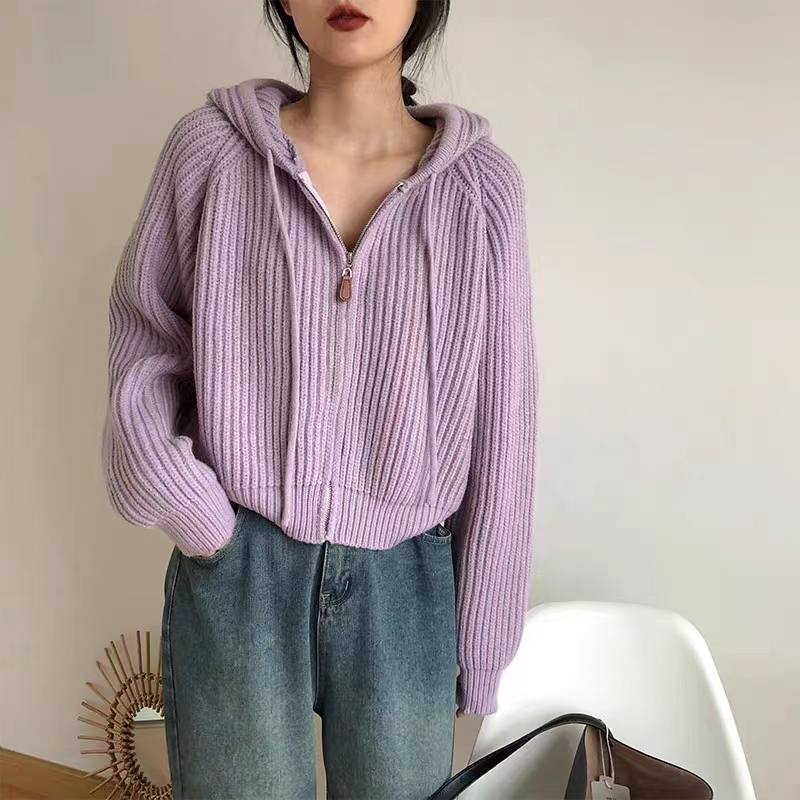連帽短款開衫上衣春裝女2023年新款韓系毛衣外套女寬鬆慵懶風