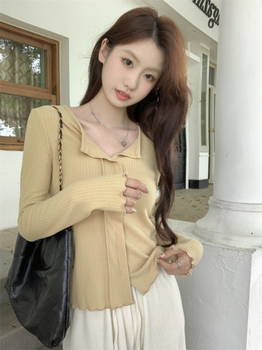 Simple pit solid color long-sleeved T-shirt for women autumn new v-neck versatile bottoming top for small people real shot