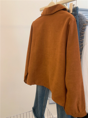 实拍复古不规则长袖衬衫女装2023秋冬韩版新款设计感小众短款上衣