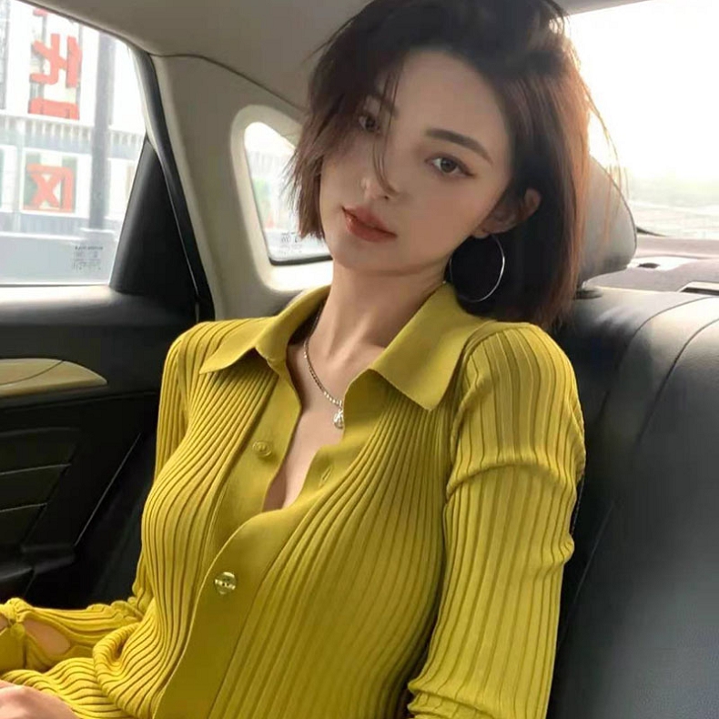 2023年新款秋季小個子修身顯瘦長袖polo領時尚針織開衫薄款上衣女