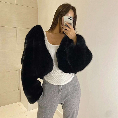 Korean Dongdaemun INS Internet celebrity short eco-friendly fur fur thickened elegant lady jacket