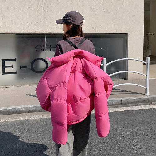 Short stand-collar down jacket for women  winter new Korean style loose and versatile casual backpack with jacket