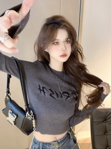 Gray long-sleeved knitted bottoming shirt for women in autumn new style with letter jacquard short top sweater