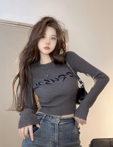 Gray long-sleeved knitted bottoming shirt for women in autumn new style with letter jacquard short top sweater