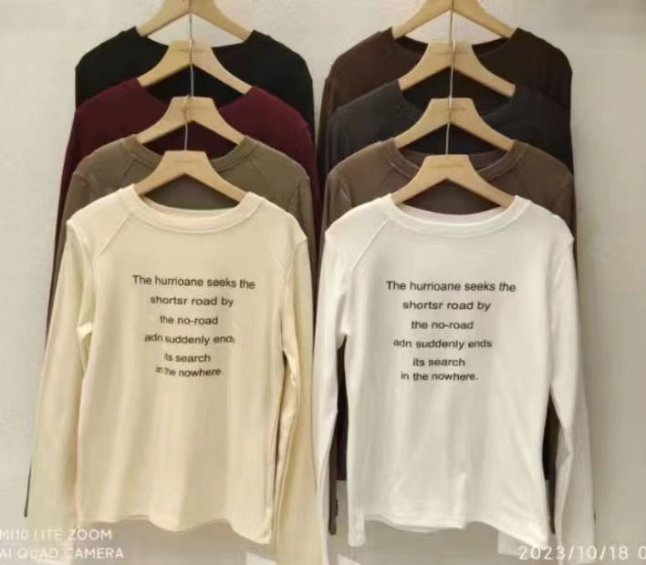 White t-shirt for women early autumn 2023 Korean style loose pure cotton fashionable inner round neck long-sleeved bottoming shirt top