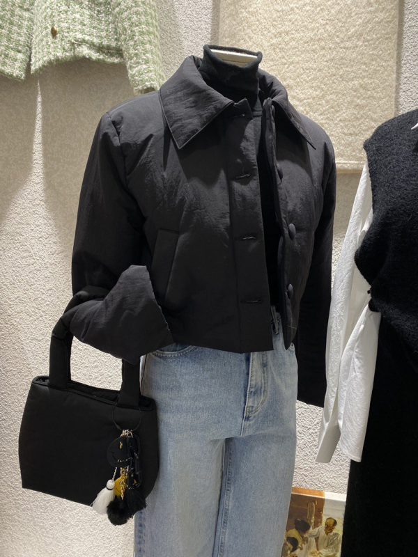 South Korea's Dongdaemun 2023 new autumn fashionable lapel solid color net single-breasted versatile short coat women's tops