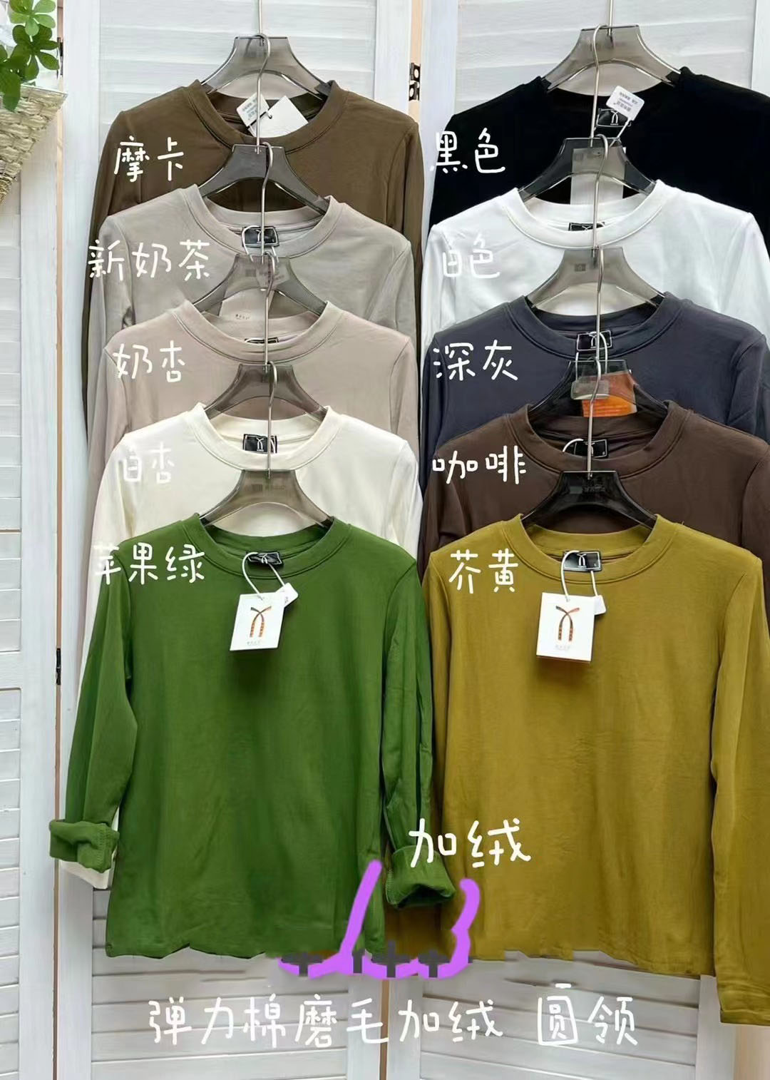 2023新款糖果色系彈力棉圓加絨領長袖氣質百搭T恤