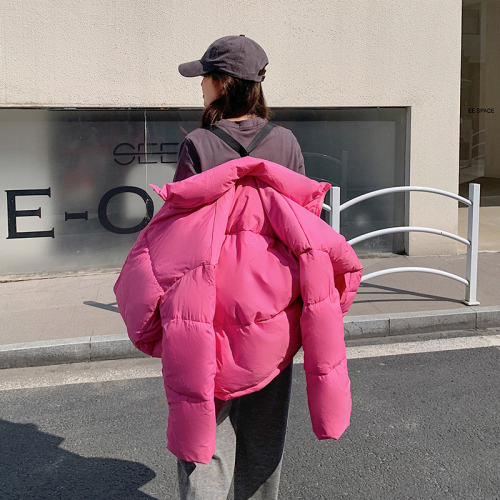 Short stand-collar down jacket for women 2023 winter new Korean style loose and versatile casual backpack with jacket
