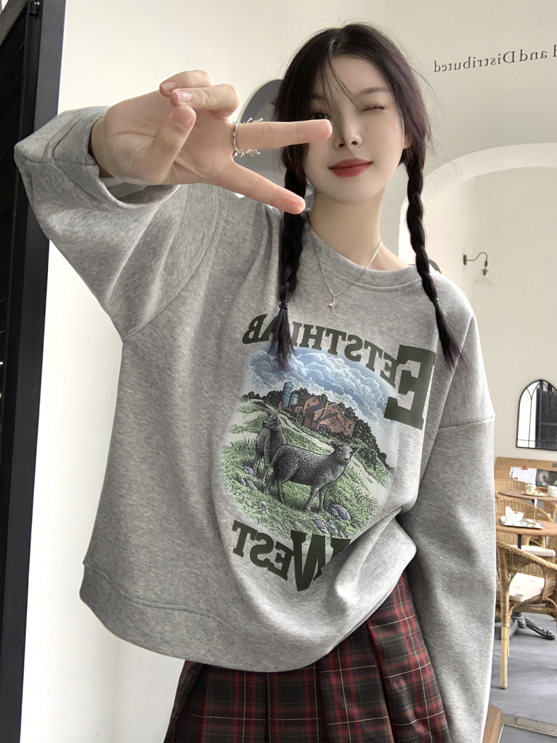 實拍三標齊慵懶風美式趣味印花常規加絨圓領套頭寬鬆顯瘦衛衣
