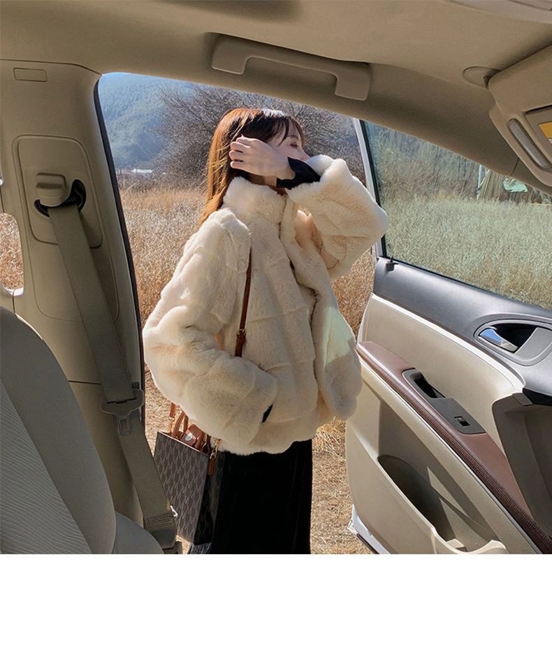 2023 Winter Danish Mink Plush Jacket Women's Mink Stand Collar Lamb Fur Fashionable Street Young Style