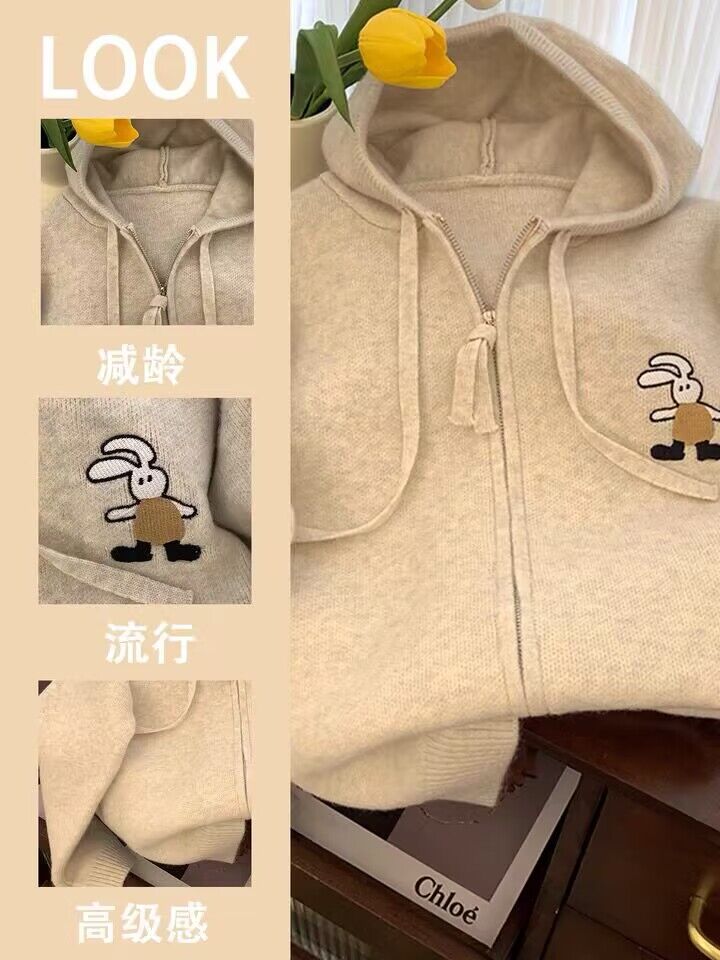 秋裝外套女氣質高級感新款衛衣/絨衫簡約百搭休閒寬鬆型連帽上衣