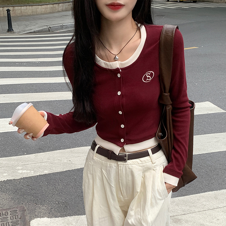 Sweet hot girl contrasting color long-sleeved T-shirt for women in autumn niche design embroidery slim unique chic short top for women