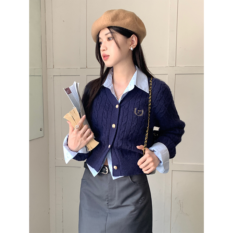 實拍秋季學院風v領徽章繡花針織開衫女新款休閒百搭短款麻花毛衣