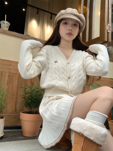 Real shot of Vitality Girl Autumn and Winter Simple Embroidered College Style Fashion Suit Top + Skirt