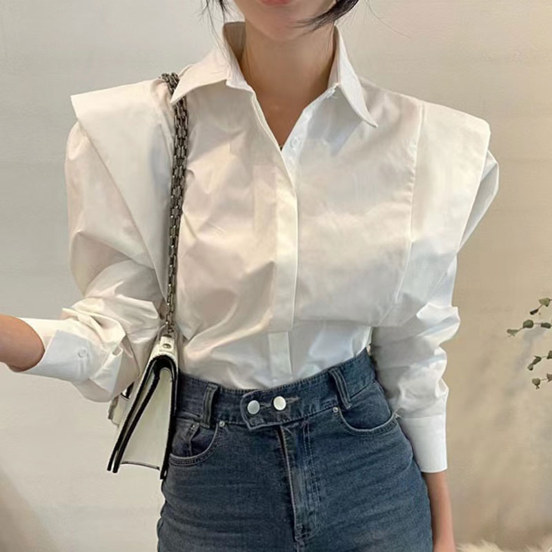 Design niche shirt for women Korea Dongdaemun 2023 autumn new lapel ruffle buttoned long-sleeved top