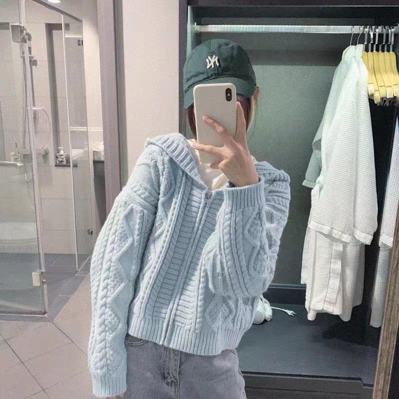 毛衣寬鬆女baby軟奶藍帽子外穿麻花慵懶短款很仙拉鏈針織開衫外套