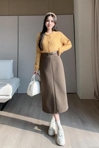 Woolen skirt women's  winter mid-length skirt slimming temperament retro Hepburn style high-waisted woolen straight skirt