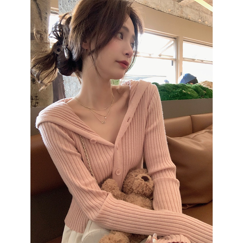 Knitted design niche short hooded cardigan women's autumn new style French unique and chic thin style