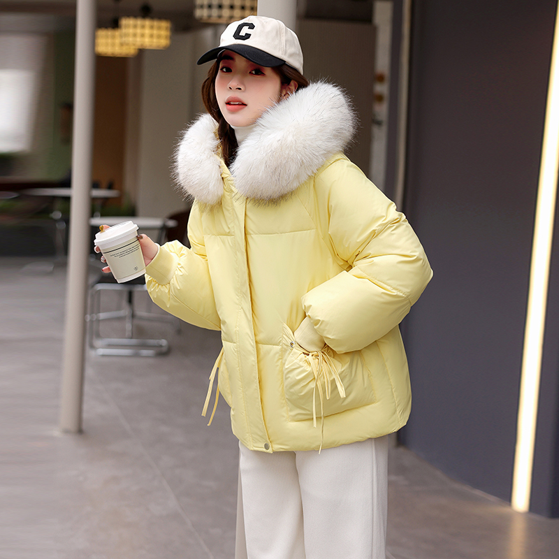 Real shot of cotton-padded clothes for women with big breasts, big fur collar, short design, niche Korean version, loose-fitting cotton clothes for little people, cute cotton