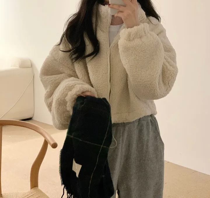 Korean chic autumn and winter new temperament stand-up collar zipper plush design versatile short cotton coat for women