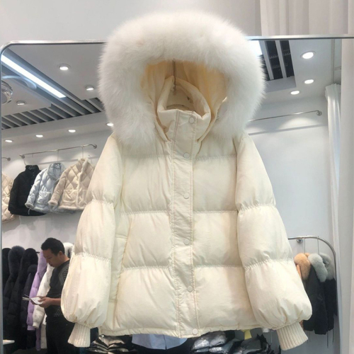  Autumn and Winter Korean Style Loose Down Cotton Jacket Women's Short Style Small Big Fur Collar Cotton Jacket Thickened Jacket