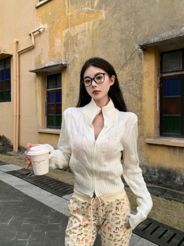 Actual shot of new autumn and winter hemp pattern stand collar jacket, fashionable slim long-sleeved short knitted sweater