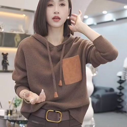 Loose hooded sweater for women 2023 autumn and winter new style fashionable casual sweatshirt design trendy sweater