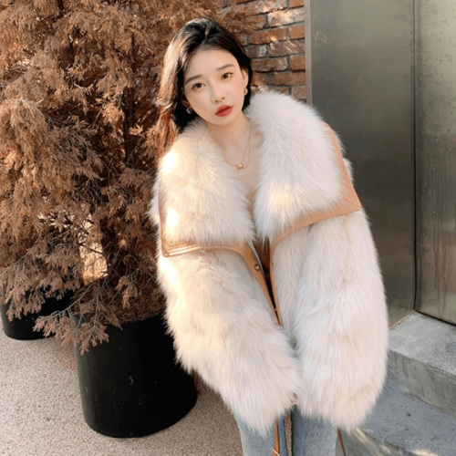 Quality Inspection Official Photo Light Luxury Fur Coat Women's  Winter New Style Plush Thickened Furry Western Style Fur Coat