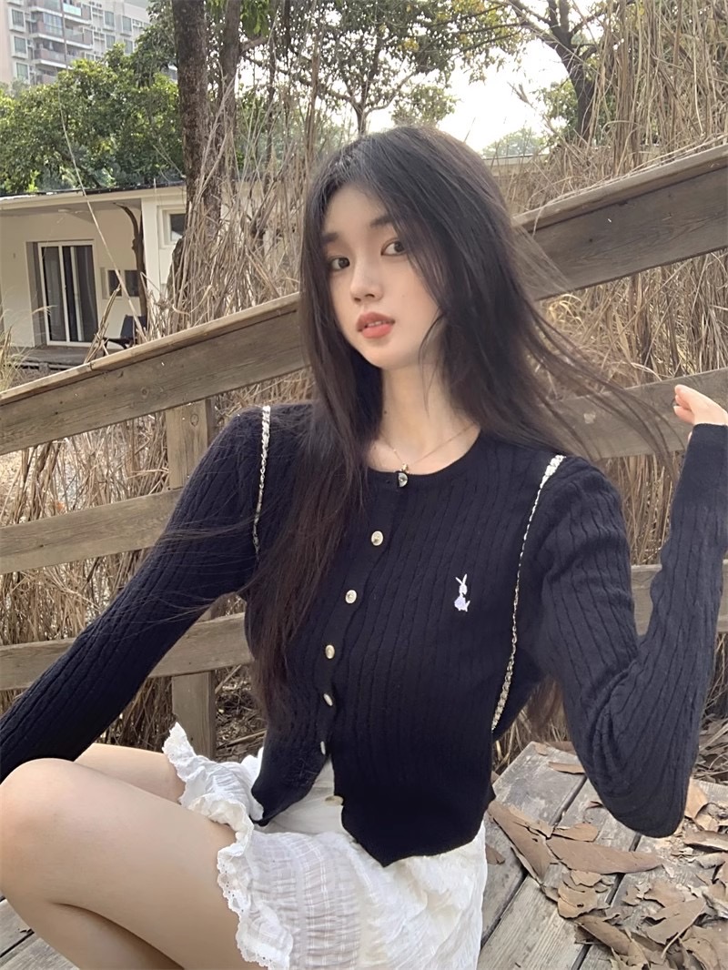 Embroidered twist sweater knitted cardigan jacket new Korean style slim fit soft waxy long-sleeved top