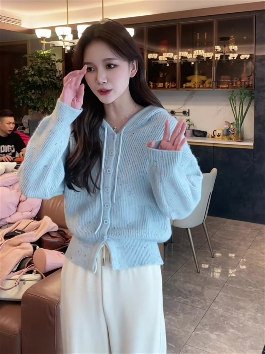 甜美減齡彩虹糖連帽花紗開衫毛衣女秋季新款寬鬆氣質單排扣針織衫