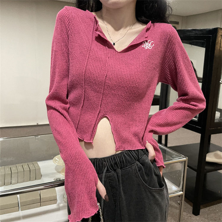 Designed fungus embroidered V-neck long-sleeved sweater for women new autumn slim-fitting short hot girl top
