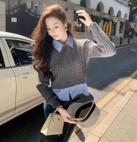 Fish Rabbit's Rabbit College Style Sweater Women's Autumn and Winter Loose  New Polo Lapel Fake Two-piece Top for Women