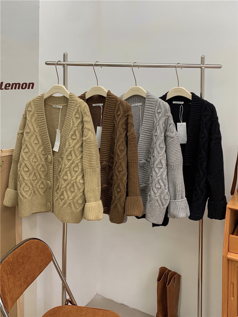 the lemon秋季新品2023韓版重工藝開衫北極絨保暖毛衣女舒適百搭