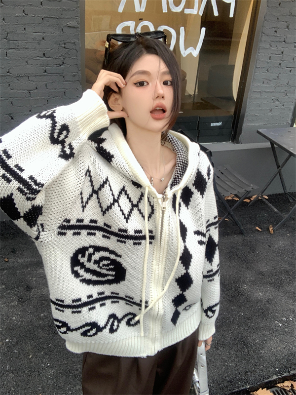 實拍秋冬新款韓版寬鬆拉鏈帽衫長袖提花針織開衫毛衣
