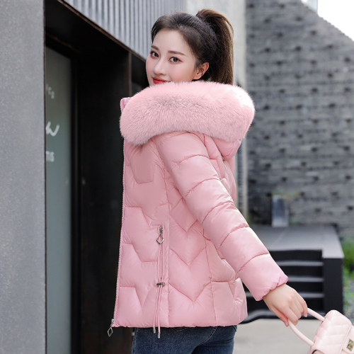 Down cotton-padded jacket, women's short winter coat, new cotton-padded jacket, Korean version, slim-fitting small cotton-padded jacket, thickened little man's jacket