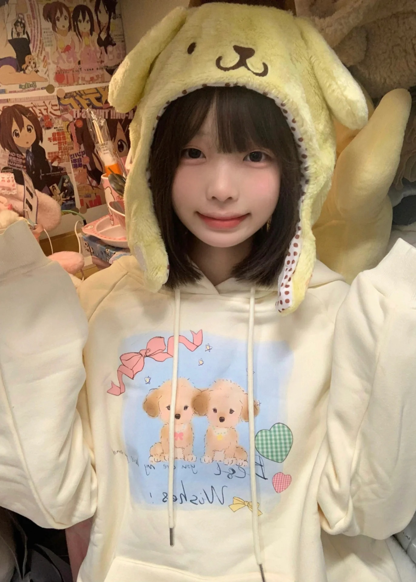 防棉華棉複合牛奶絲300克/銀狐絨400克連帽衛衣女