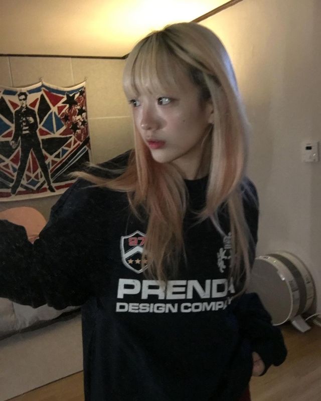 Sakura Madou Retro American niche print velvet sweatshirt loose and versatile casual round neck long-sleeved top for women