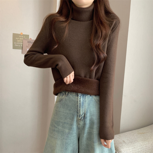 Actual shot of the new Korean style plus velvet and thickened one-piece mink velvet turtleneck long-sleeved sweater