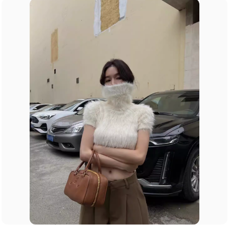 2023 new autumn and winter Korean fashion warm fashion niche high-neck short-sleeved furry sweater women's tops