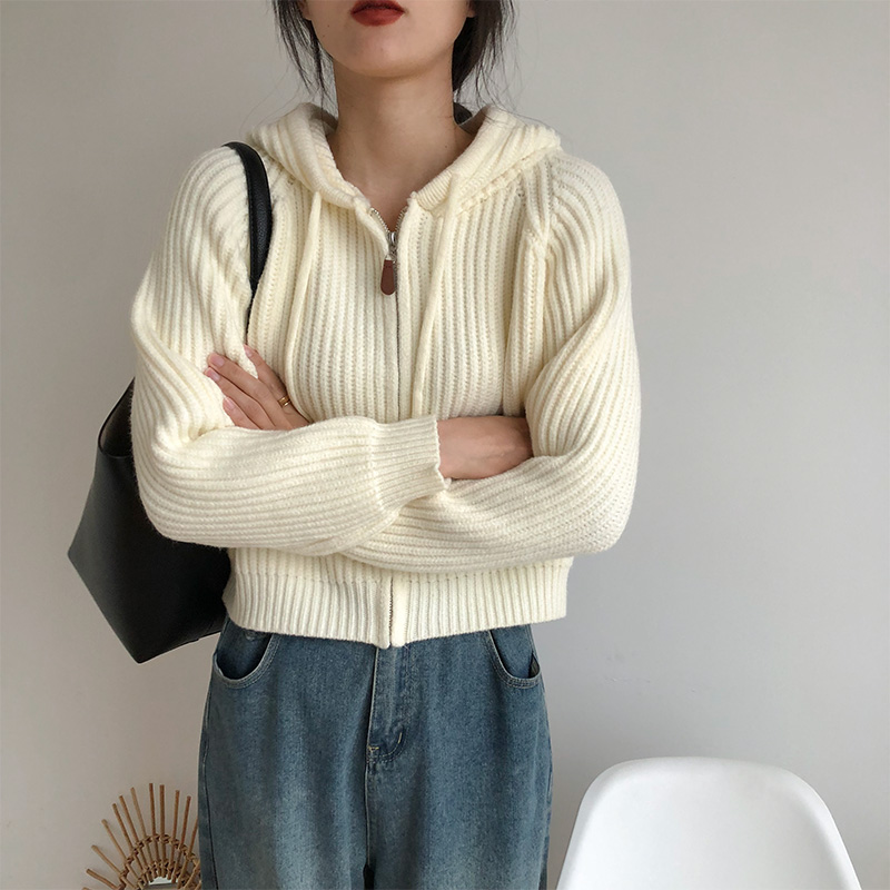 連帽短款針織開衫上衣秋裝女2023年新款韓系毛衣外套女寬鬆慵懶風
