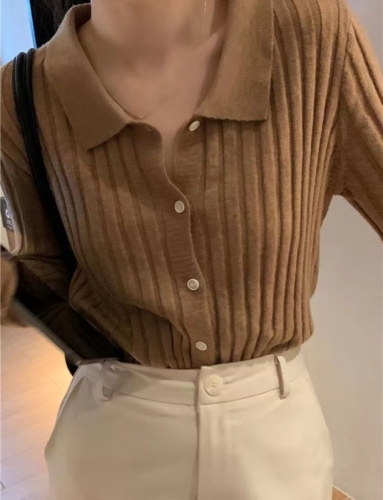 Autumn and winter new polo lapel knitted bottoming shirt, small fragrance style inner sweater cardigan bottoming versatile top